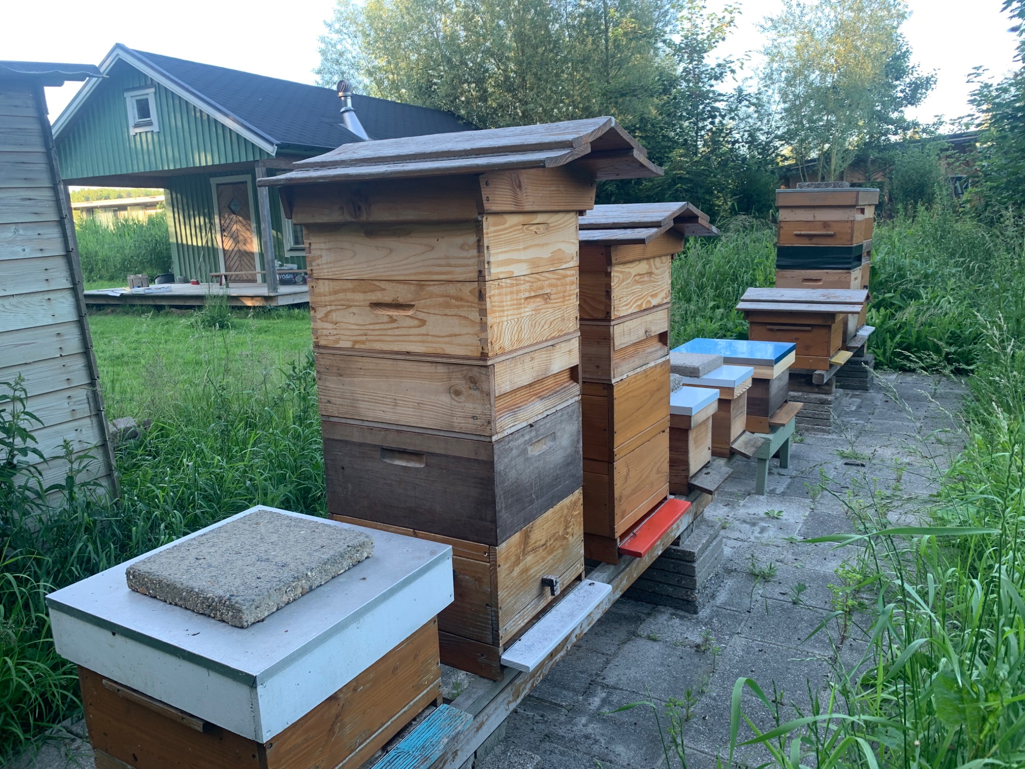 Bijenkasten in de weelderige tuin van Bosveld